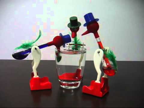 3 dipping birds drinking from the same cup